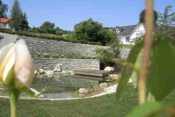 http://holisticgarden.at/data/image/thumpnail/image.php?image=167/holisticgarten_at_article_3338_0.jpg&width=600