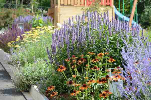 http://holisticgarden.at/data/image/thumpnail/image.php?image=167/holisticgarten_at_article_3378_0.jpg&width=600