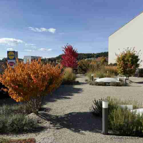 http://holisticgarden.at/data/image/thumpnail/image.php?image=167/holisticgarten_at_dachgarten_article_3250_0.jpg&width=500