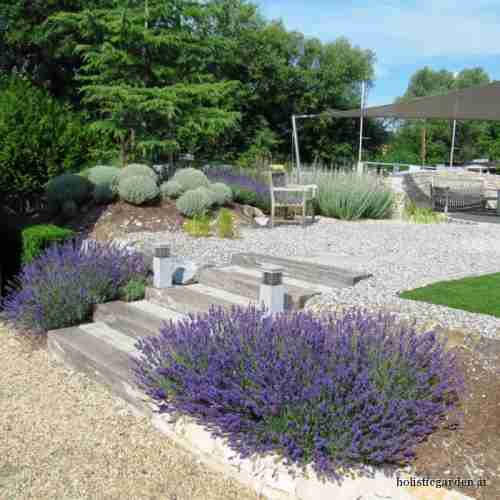 http://holisticgarden.at/data/image/thumpnail/image.php?image=167/holisticgarten_at_lavendel_article_3247_1.jpg&width=500